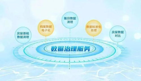 强基固本，鹏业数据治理服务获客户表彰